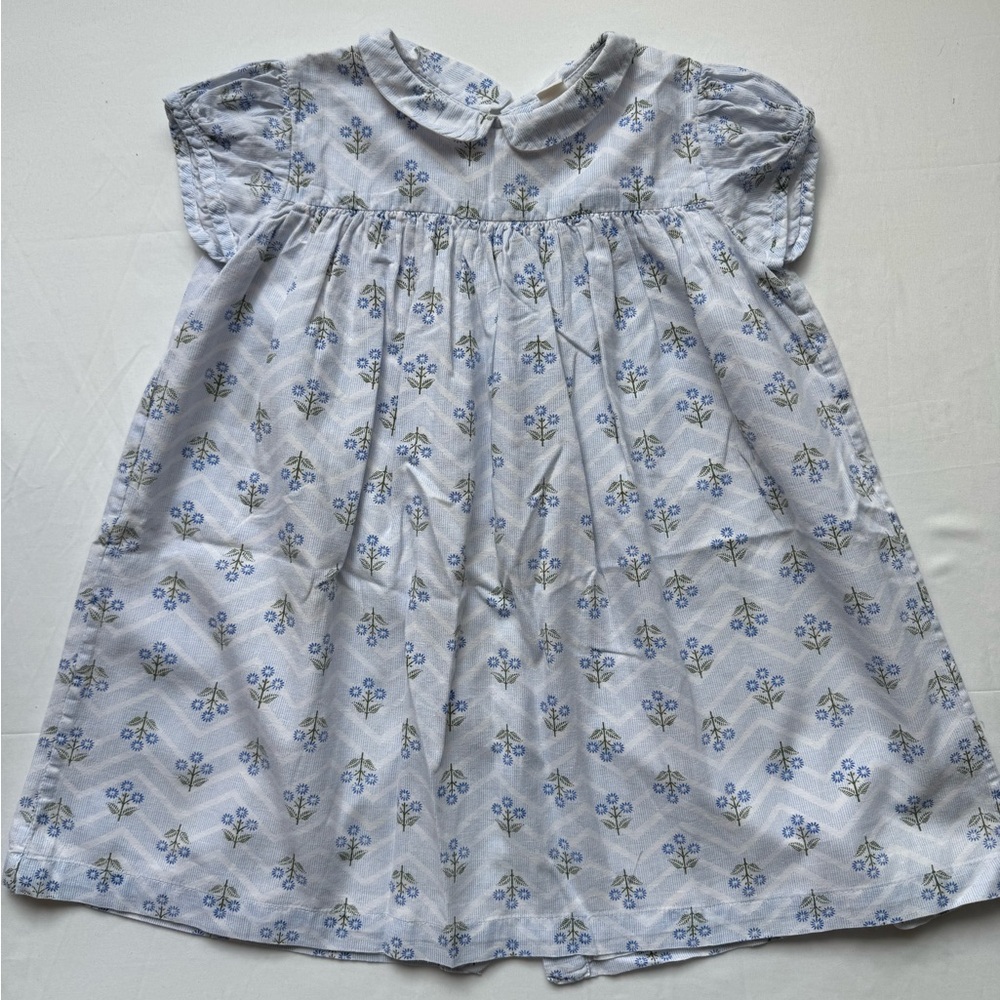 Little Cotton Clothes girls Floral Dress